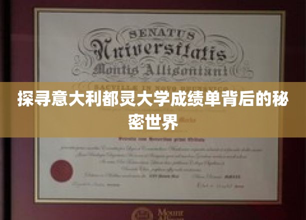 探寻意大利都灵大学成绩单背后的秘密世界