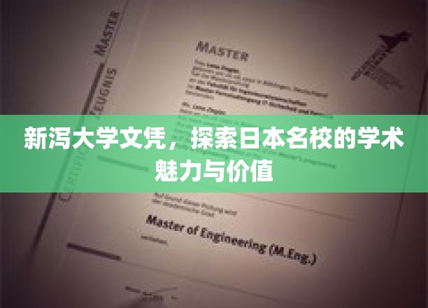 解码新泻大学，日本名校的教育风采与成就密码