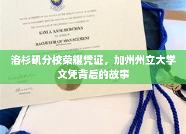 加州荣耀揭秘，洛杉矶分校校友如何铸就加州州立大学文凭传奇