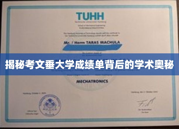 探寻考文垂大学成绩单背后的学术密码