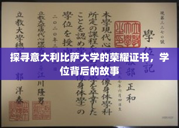 探寻意大利比萨大学的荣耀证书，学位背后的故事