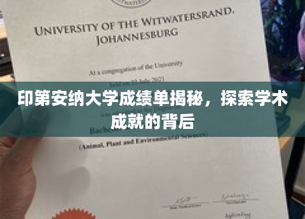 印第安纳大学成绩单揭秘，探索学术成就的背后
