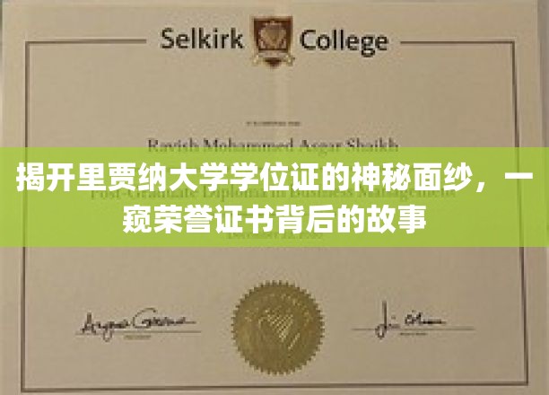 揭开里贾纳大学学位证的神秘面纱，一窥荣誉证书背后的故事