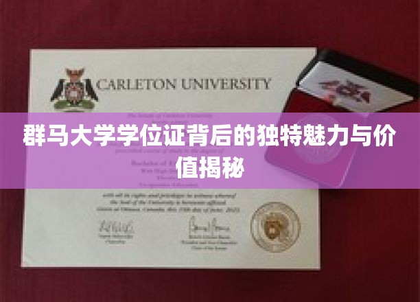 群马大学学位证书背后的独特魅力与价值揭秘