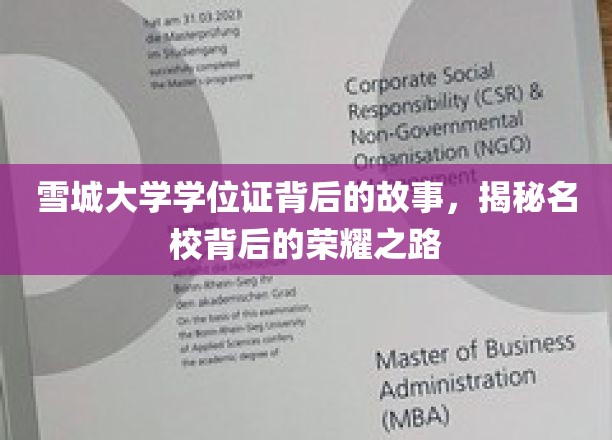 雪城大学学位证，探寻名校荣耀背后的传奇旅程