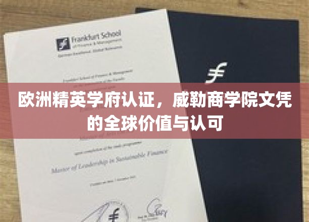 威勒商学院，国际精英认证，全球职场通行证