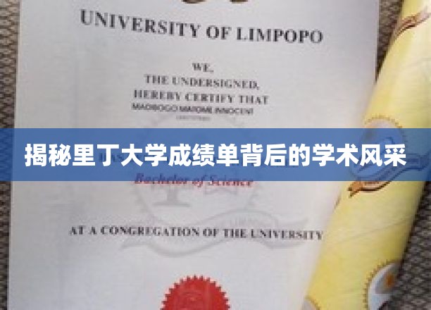 探秘里丁大学成绩单背后的学术魅力