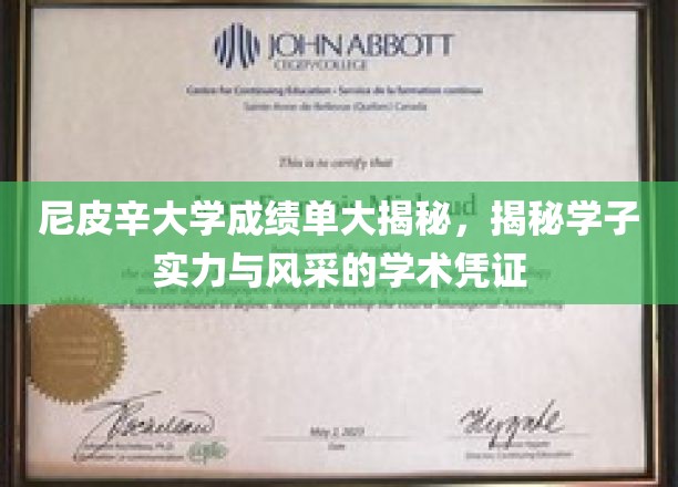 尼皮辛大学成绩单大揭秘，揭示学子实力与风采的学术凭证