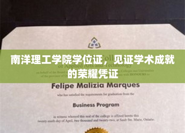 南洋理工学院学位证，见证学术成就的荣耀凭证