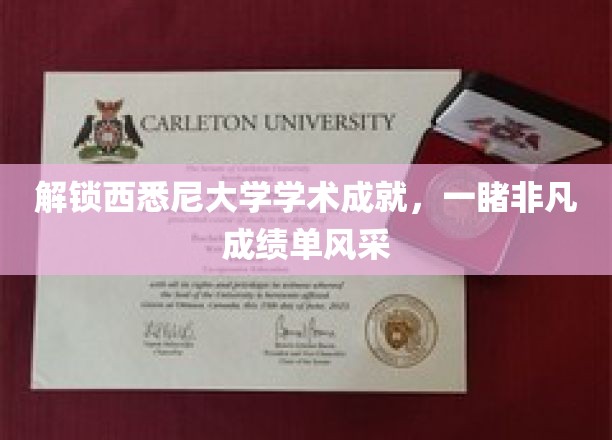 西悉尼大学卓越之旅，揭秘非凡学术成就背后的辉煌瞬间
