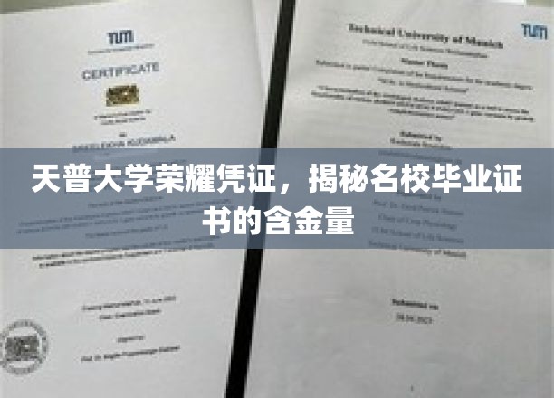 天普大学荣耀凭证，揭秘名校毕业证书的含金量