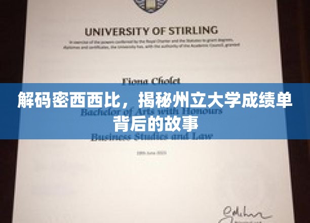 解码密西西比，揭秘州立大学成绩单背后的故事