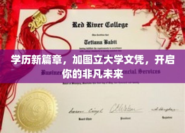 学历新篇章，加图立大学文凭，开启你的非凡未来