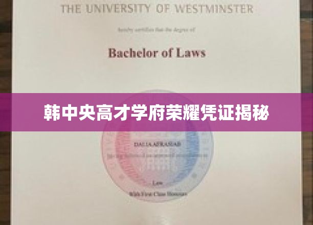 韩中央学府精英证书背后的荣耀秘密大公开