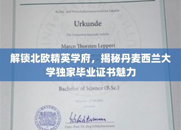 探索丹麦西兰大学，毕业证书背后的北欧精英教育精髓
