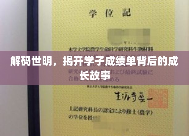 解码世明,揭开学子成绩单背后的成长故事