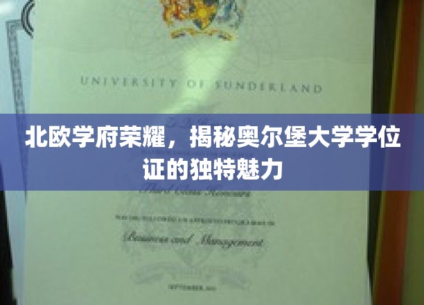 北欧学府荣耀，揭秘奥尔堡大学学位证的独特魅力