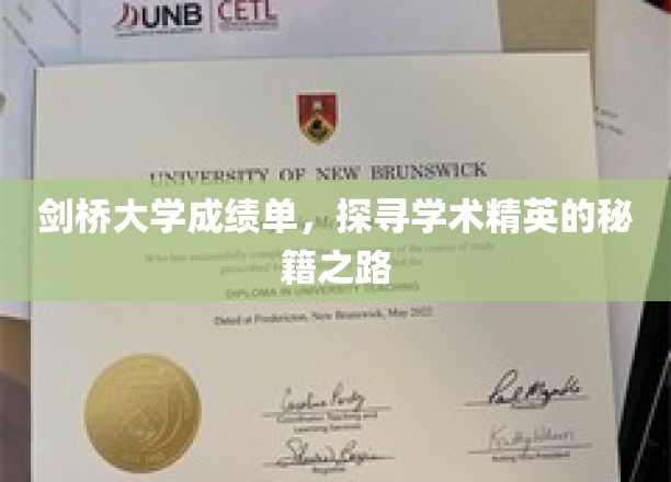 剑桥大学成绩单，探寻学术精英的秘籍之路