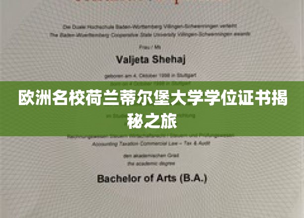 欧洲名校荷兰蒂尔堡大学学位证书揭秘之旅