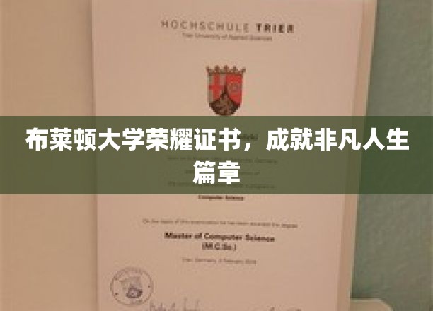布莱顿大学荣耀证书，成就非凡人生篇章