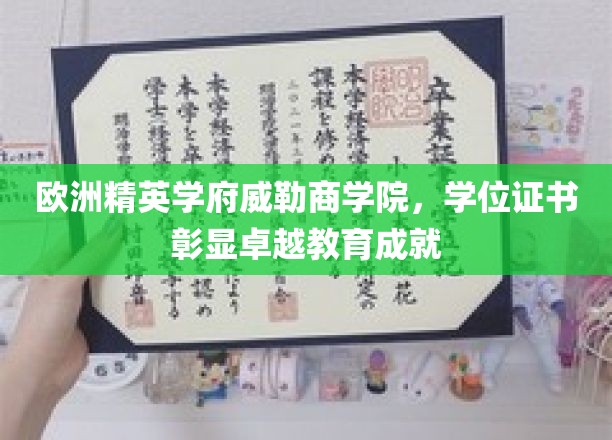 欧洲精英学府威勒商学院，学位证书彰显卓越教育成就