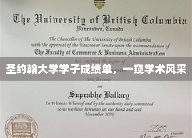 圣约翰学子卓越成绩，映照学术荣耀之光