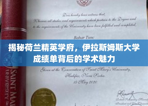 探寻伊拉斯姆斯大学，成绩单背后的精英教育之光