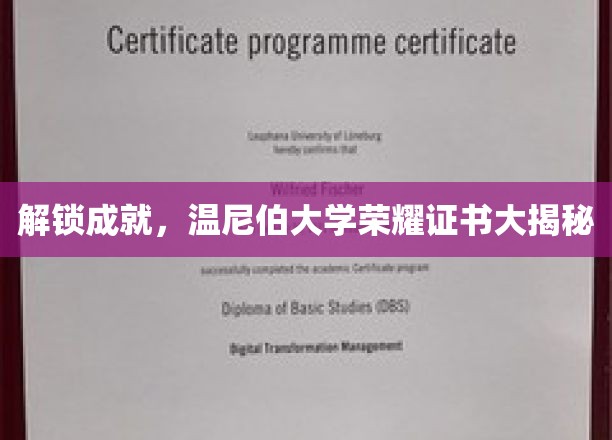 揭秘温尼伯大学荣耀时刻，成就证书背后的故事与荣耀