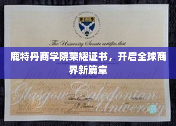 鹿特丹商学院荣耀盛典，商界新纪元璀璨启航