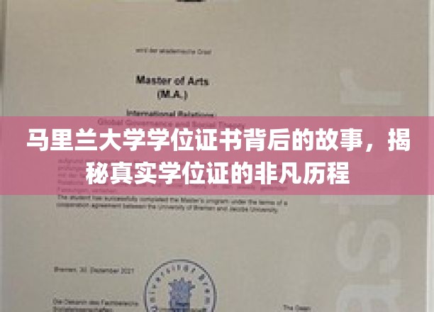 马里兰大学学位证背后的传奇，探寻证书背后的非凡旅程