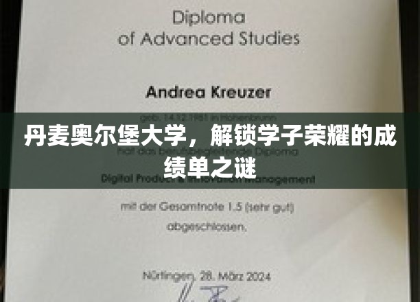 丹麦奥尔堡大学，解锁学子荣耀的成绩单之谜