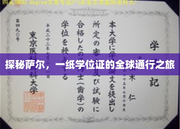 跨越国界，萨尔学位证的环球之旅揭秘