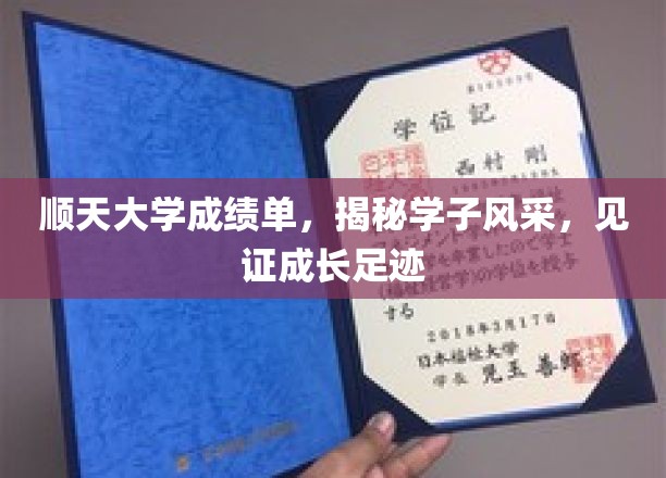 顺天大学成绩单，揭秘学子风采，见证成长足迹
