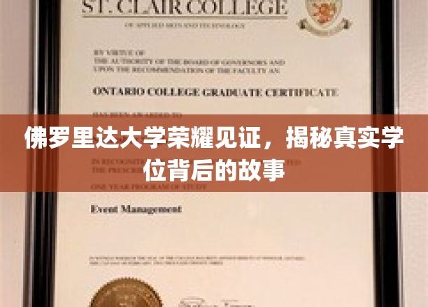佛罗里达大学学位传奇，揭秘荣耀背后的真实历程