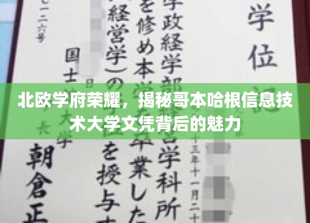 北欧学府的荣耀：揭开哥本哈根信息技术大学文凭的神秘面纱