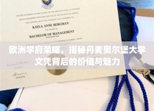欧洲学府荣耀，揭秘丹麦奥尔堡大学文凭背后的价值与魅力