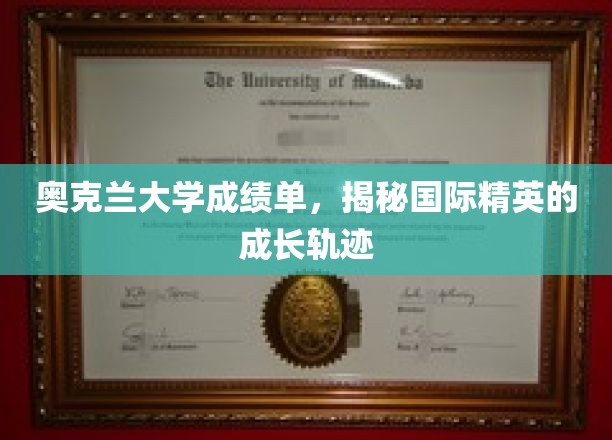 解码奥克兰精英之路，一纸成绩单背后的成长奥秘
