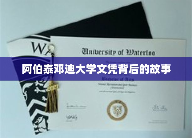 阿伯泰邓迪大学文凭背后的故事