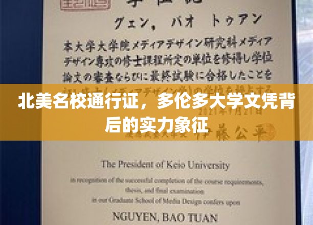 解锁北美顶尖学府，多伦多大学文凭的隐性荣耀凭证
