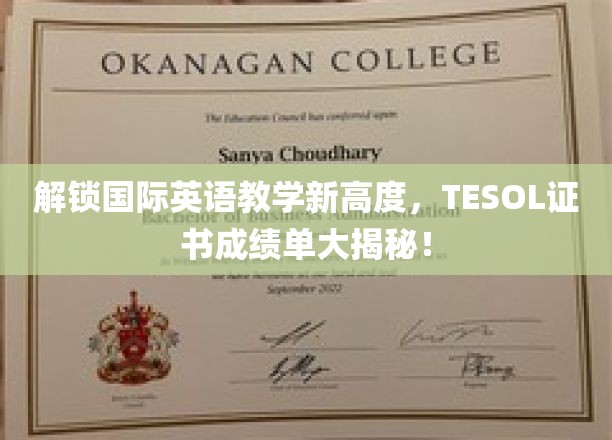 TESOL证书成就全球英语教学新篇章，成绩单背后的故事揭晓