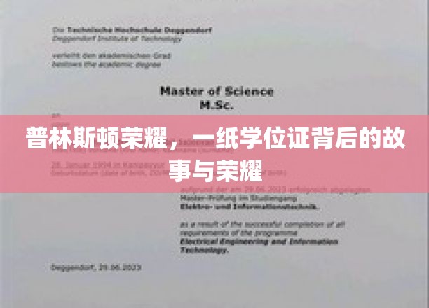 普林斯顿传奇，学位背后的荣耀轨迹