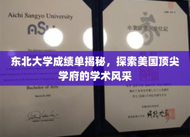 东北大学成绩单深度解读，探寻美国顶尖学府的学术魅力