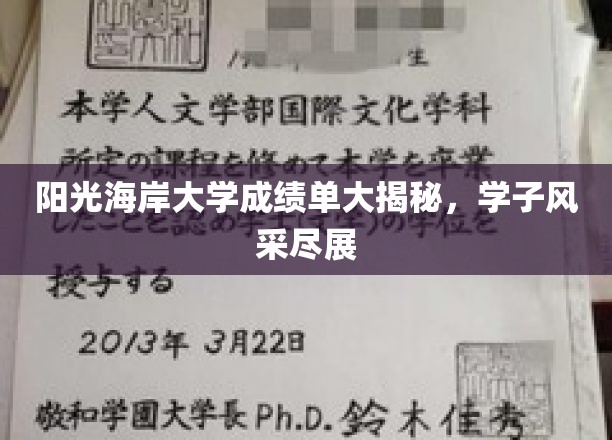 阳光海岸大学成绩单大揭秘，学子风采尽展