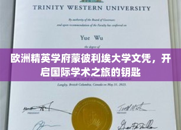 解锁国际学术殿堂，蒙彼利埃大学文凭，你的全球学术通行证