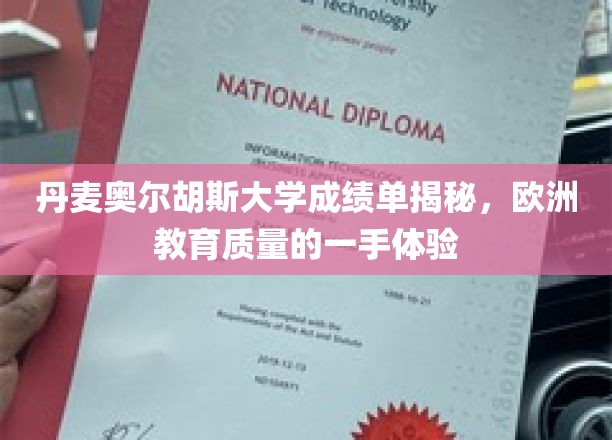 丹麦奥尔胡斯大学成绩单揭秘，体验欧洲教育质量的一手资料