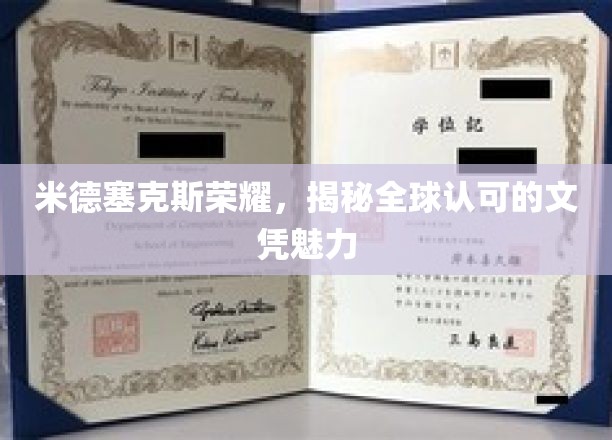 米德塞克斯荣耀，探寻国际认可的文凭魅力之谜