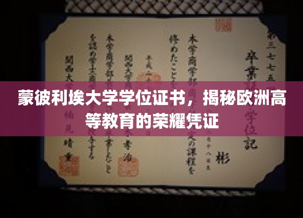 蒙彼利埃大学学位证书，揭示欧洲高等教育的荣耀凭证