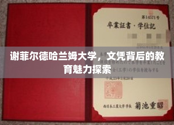 谢菲尔德哈兰姆大学，文凭背后的教育魅力探索