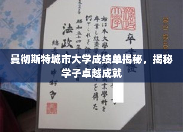 曼大荣耀，揭秘学子卓越成就背后的成绩单秘密