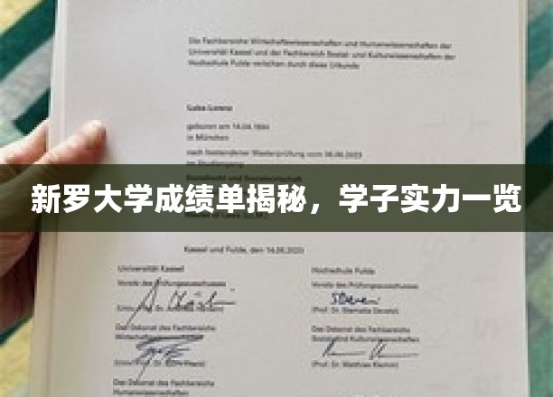 新罗大学成绩单揭秘，学子实力一览